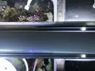 [TodoMarino.com] Pantallas aquamedic T5 con tubos - Segovia
