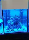 [TodoMarino.com] Acuario Cubo 45x45x45 Completo - Chiclana, Cádiz y alrededores
