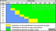 [TodoMarino.com] Identificación tipo de alga, ayuda