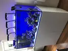 [TodoMarino.com] Compra conjunta pantalla Coral Box Moon Led