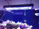 [TodoMarino.com] Vendo pantalla led marsaqua - Almería