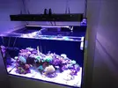 [TodoMarino.com] Vendo pantalla led marsaqua - Almería