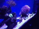 [TodoMarino.com] Desmonto acuario - badajoz