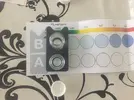 [TodoMarino.com] Desesperado alga verde tapizante..