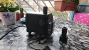 [TodoMarino.com] Eheim compact+ 2000 Barbera del valles (BCN) - Barbera del valles (BCN)