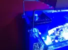 [TodoMarino.com] Vendo pantalla led - Getafe