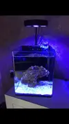 [TodoMarino.com] nuevo proyecto nano 31 l