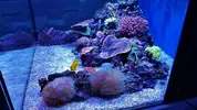 [TodoMarino.com] Mountain Reef - 484l by Mariano