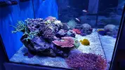 [TodoMarino.com] Mountain Reef - 484l by Mariano