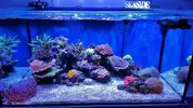 [TodoMarino.com] Mountain Reef - 484l by Mariano