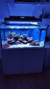 [TodoMarino.com] Mountain Reef - 484l by Mariano