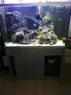 [TodoMarino.com] Vendido acuario, skimmer - Tarragona