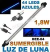 [TodoMarino.com] Problema luz luna y trochus