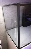 [TodoMarino.com] Vendo Urna eheim scubaline 460 marine - Bilbao