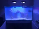 [TodoMarino.com] Acuario 230litros + 70l sump