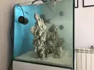 [TodoMarino.com] Acuario 230litros + 70l sump