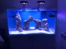 [TodoMarino.com] Acuario 230litros + 70l sump