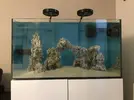 [TodoMarino.com] Acuario 230litros + 70l sump