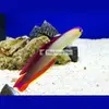 [TodoMarino.com] PECES ÚTILES PARA TU ACUARIO.
