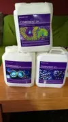 [TodoMarino.com] bailling +1 +2+3+ de aquaforest - mostoles (madrid)
