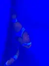 [TodoMarino.com] Ocellaris herido