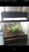 [TodoMarino.com] Cambio terrario