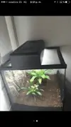 [TodoMarino.com] Cambio terrario
