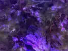 [TodoMarino.com] Acuario 80L curius14