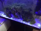 [TodoMarino.com] Acuario 80L curius14
