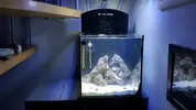[TodoMarino.com] Aqua Medic Yasha Comienzo en el mundo del salado
