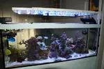 [TodoMarino.com] Desmonte acuario completo - Alcalá de Henares (Madrid) - Valladolid