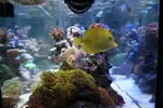 [TodoMarino.com] Desmonte acuario completo - Alcalá de Henares (Madrid) - Valladolid