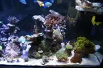 [TodoMarino.com] Desmonte acuario completo - Alcalá de Henares (Madrid) - Valladolid