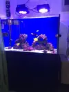 [TodoMarino.com] Acuario Marino 360L - La Linea de la Concepcion