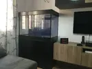 [TodoMarino.com] Acuario Marino 360L - La Linea de la Concepcion