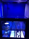 [TodoMarino.com] Acuario Marino 360L - La Linea de la Concepcion