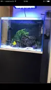 [TodoMarino.com] Acuario, mesa y equipo desmonte madrid - Madrid