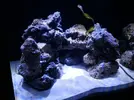 [TodoMarino.com] Mi pequeño "cachito de oceano"