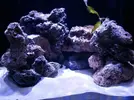 [TodoMarino.com] Mi pequeño "cachito de oceano"