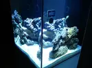 [TodoMarino.com] Mi pequeño "cachito de oceano"