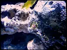 [TodoMarino.com] Mi pequeño "cachito de oceano"