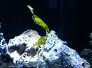 [TodoMarino.com] Mi pequeño "cachito de oceano"