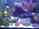 [TodoMarino.com] My Lps palace´s