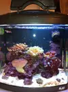 [TodoMarino.com] Os presento a mi NANO 58L BLAU
