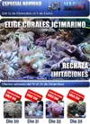 [TodoMarino.com] Que locuraaaa 2º parte!!!!!!!!!