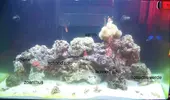 [TodoMarino.com] RED SEA MAX 250 en Malaga de Inma y Eduardo