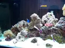 [TodoMarino.com] RED SEA MAX 250 en Malaga de Inma y Eduardo