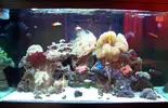 [TodoMarino.com] RED SEA MAX 250 en Malaga de Inma y Eduardo