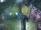 [TodoMarino.com] RED SEA MAX 250 en Malaga de Inma y Eduardo