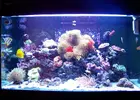[TodoMarino.com] RED SEA MAX 250 en Malaga de Inma y Eduardo